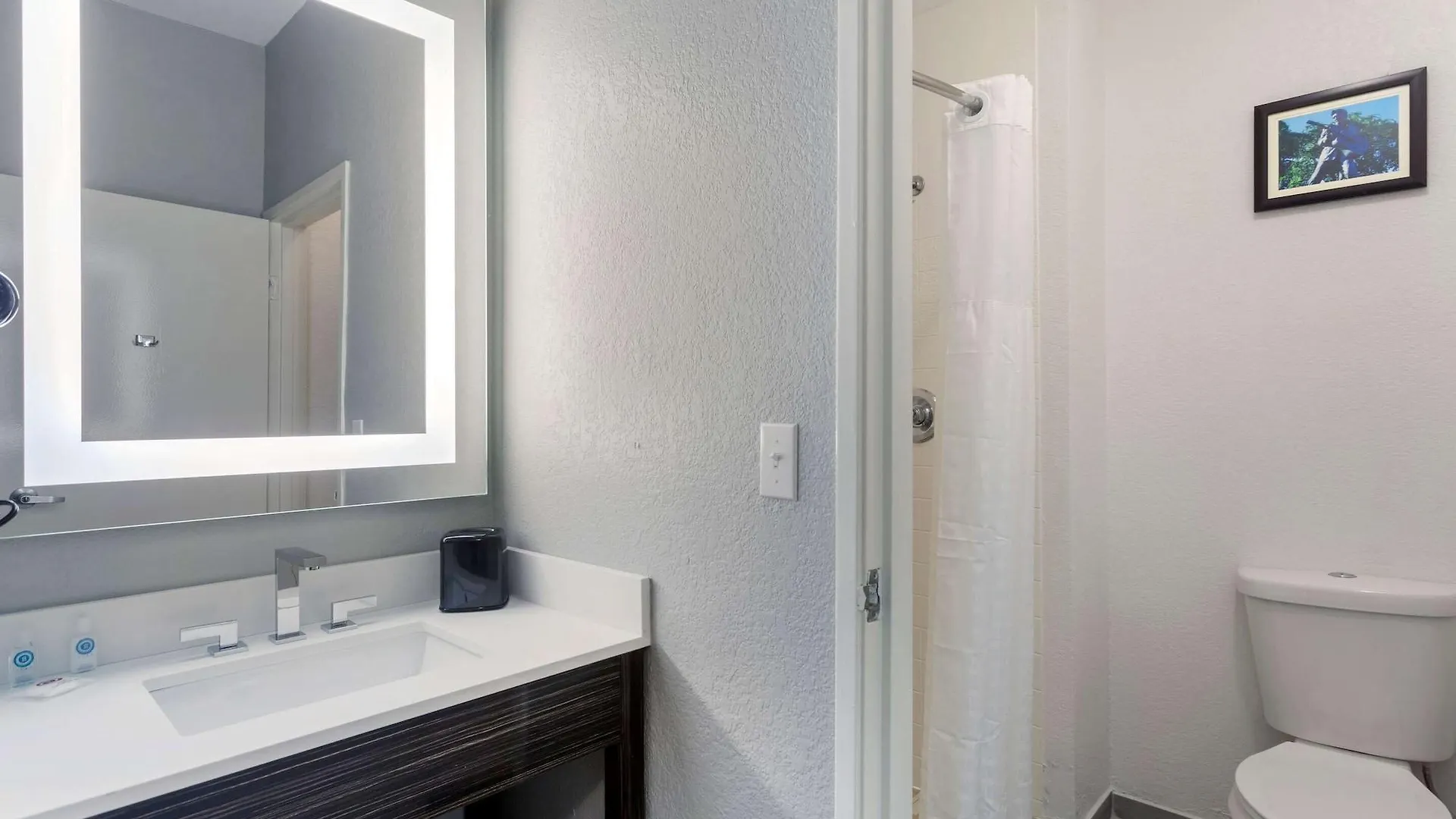 Hotel Comfort Inn & Suites Memphis